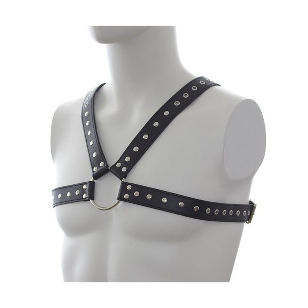 Harnais SM Stud Chest