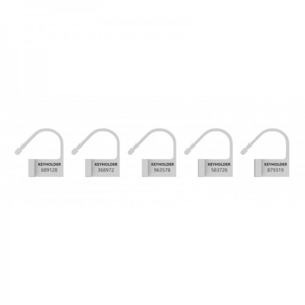 Lot de 5 LOCKS numérotés